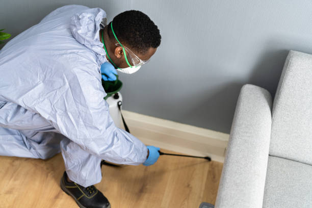 Best Bed Bug Extermination  in Duson, LA